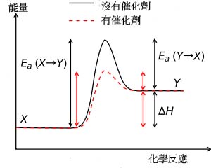 催化劑